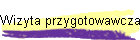 Wizyta przygotowawcza