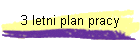 3 letni plan pracy