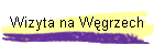 Wizyta na W�grzech