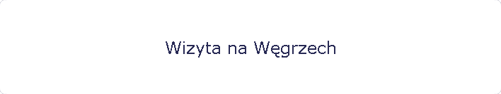 Wizyta na W�grzech