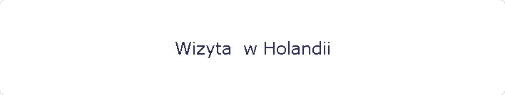 Wizyta  w Holandii