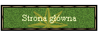 Strona g��wna