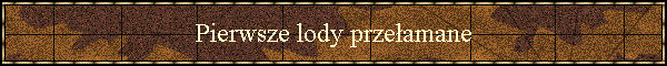 Pierwsze lody prze�amane