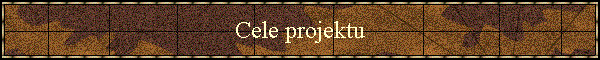 Cele projektu