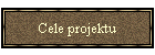 Cele projektu