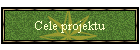 Cele projektu