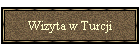 Wizyta w Turcji