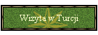 Wizyta w Turcji