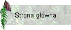 Strona g��wna