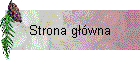 Strona g��wna