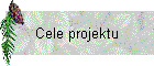Cele projektu
