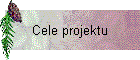 Cele projektu