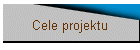 Cele projektu